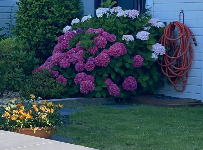 Bed & Breakfast Les Evens La Baule-Escoublac